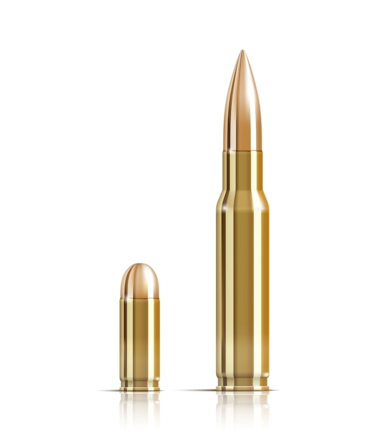 Ammunition bullets