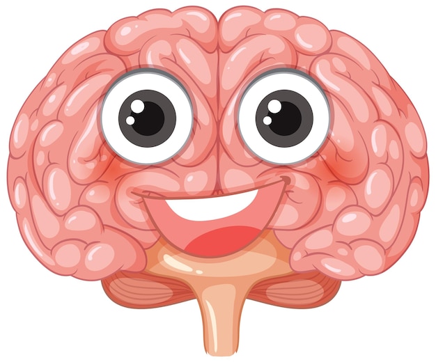 Free vector anatomy of a happy brain cartoon illustration