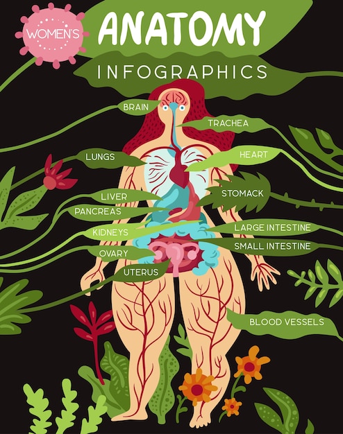 Макет медицинской инфографики анатомии с женскими органами и системами жизнеспособности тела плоской иллюстрации