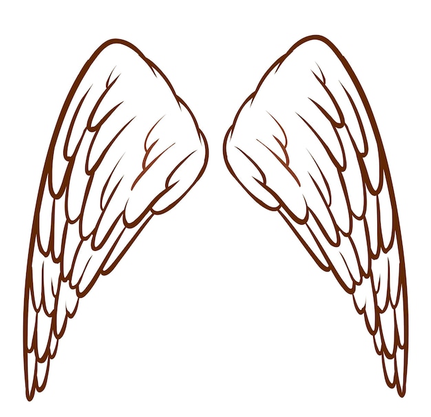 Free vector an angels wings