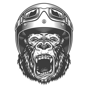 Free Vector | Angry gorilla in monochrome style