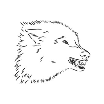 怒っている唸るオオカミのプロファイルの頭-凶暴な動物のプロファイルの黒と白のベクトルマスコットデザイン
