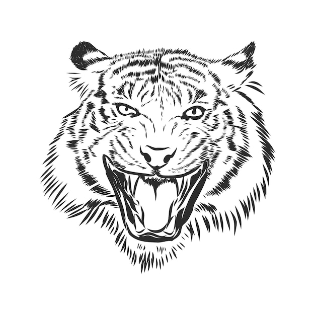 Angry tiger head silhouette, vector sketch illustration