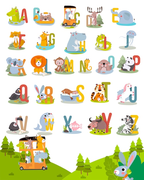 Animal alphabet graphic a to z. cute vector zoo alphabet with animals in cartoon style.