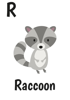 Animal alphabet for kids with raccoon