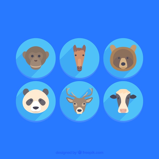 Animal face collection