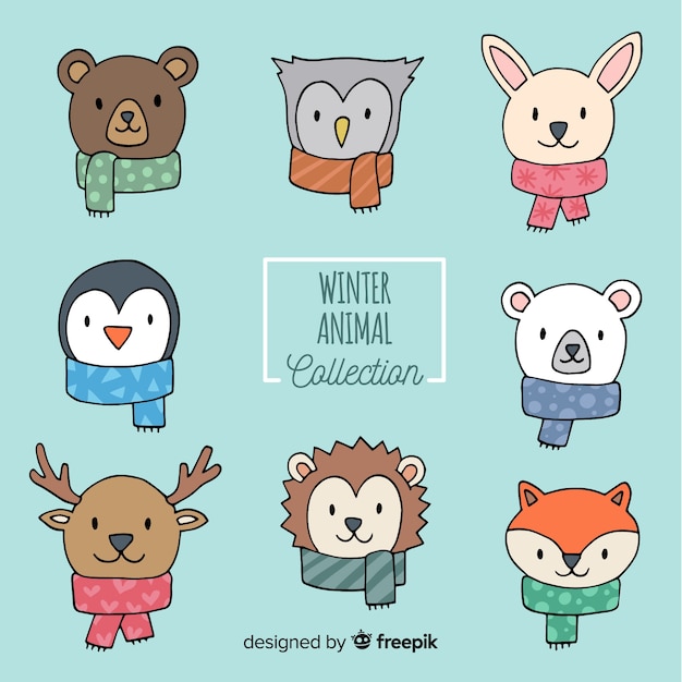 Animal faces winter collection