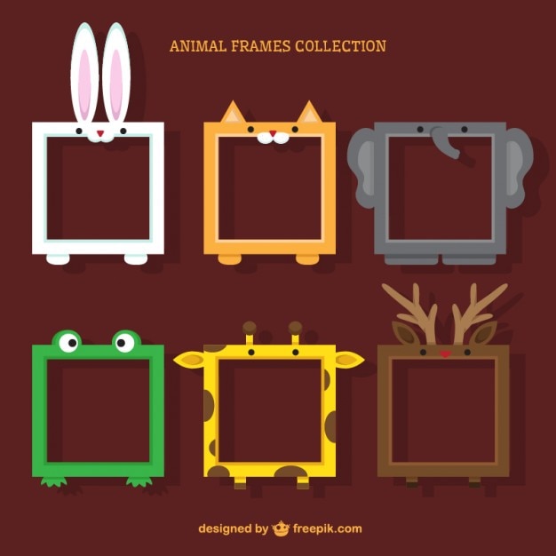 Animal frames collection