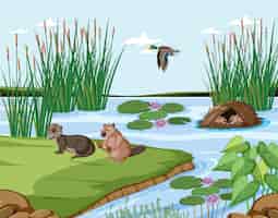 Free vector animal living on nature wet scene
