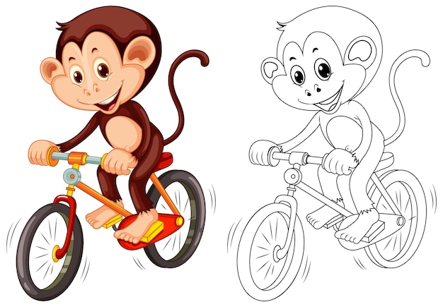 자전거에 원숭이에 대한 동물 개요