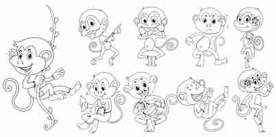 Free vector animal outline for monkeys in different actions