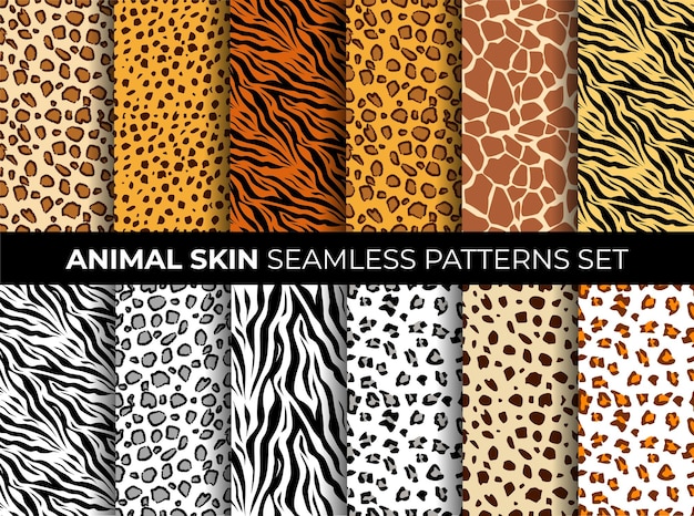 Animal skins seamless pattern set.  collection of print skins. printable background. .