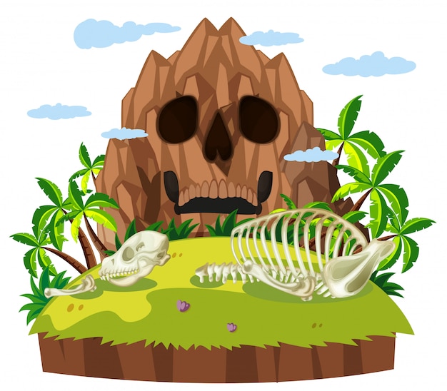 Vettore gratuito cranio animale sull'isola