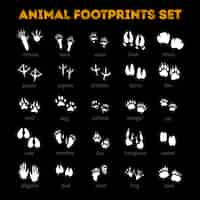 Free vector animal track black background