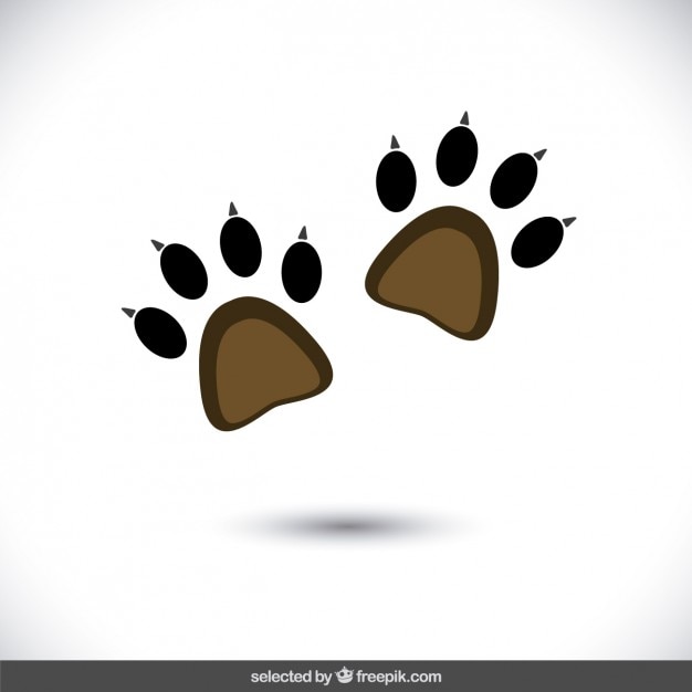 Free vector animal track