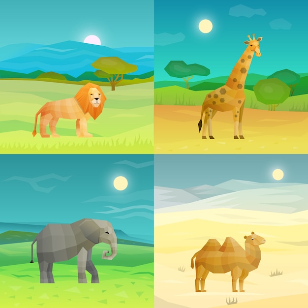 Animals background set