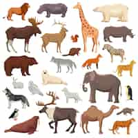 Free vector animals big set