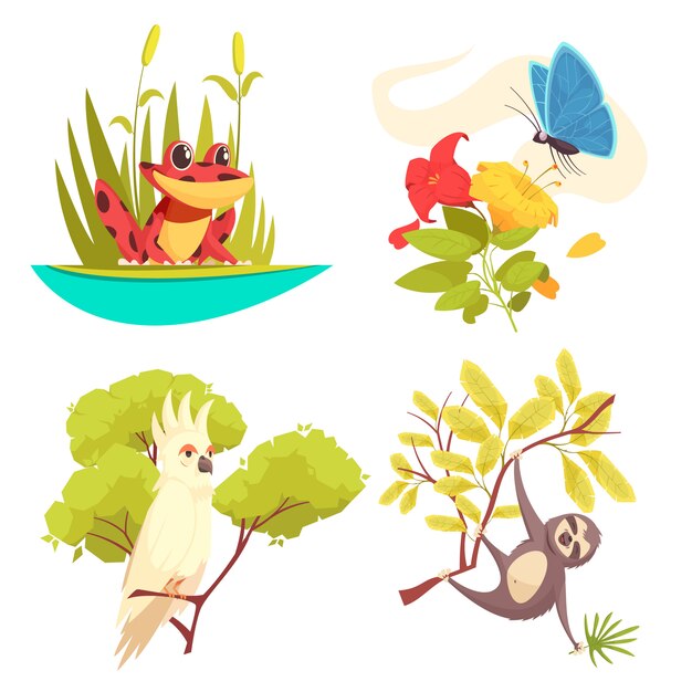 Animals jungle design concept with frog in reeds, butterfly on flower, parrot and sloth  illustration