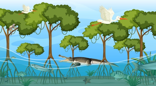 Free Vector | Animals live in mangrove forest at daytime scene Free Vector | Animals live in mangrove forest at daytime scene