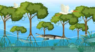 Free vector animals live in mangrove forest at daytime scene