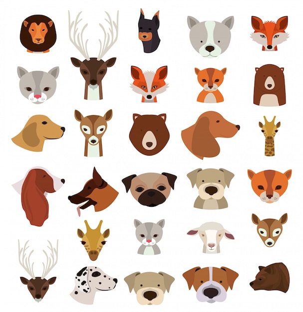 Animals set in flat style