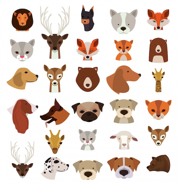 Animals Set in flat style