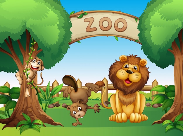 Животные в зоопарке