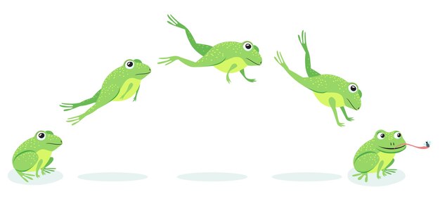Animated process of frogs leaps sequence. Cartoon toad jumping for prey, catching insect illustration