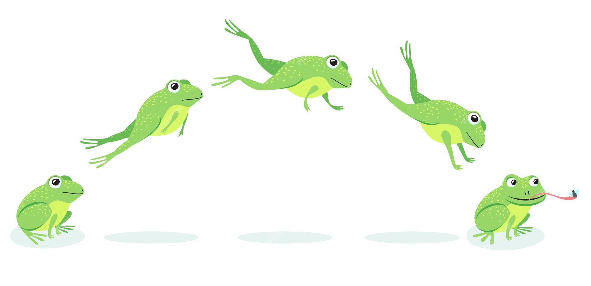 Free Vector | Animated process of frogs leaps sequence. cartoon toad jumping for prey, catching insect illustration Free Vector | Animated process of frogs leaps sequence. cartoon toad jumping for prey, catching insect illustration