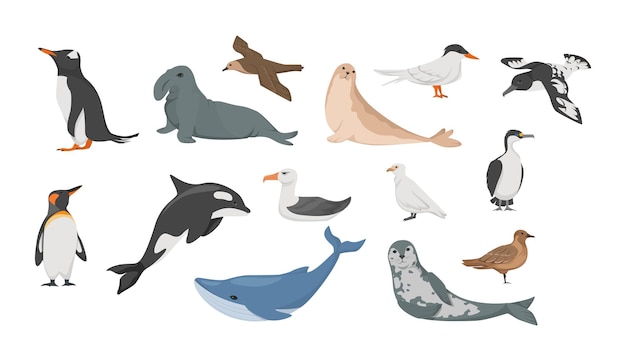 Antarctica flora seal, petrel, penguins, albatross, blue whale, sea leopard, cape dove, white plover