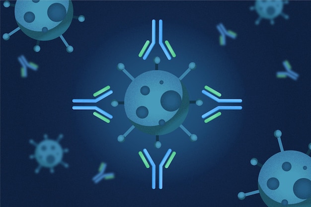 Free vector antibody immunoglobulin molecule theme