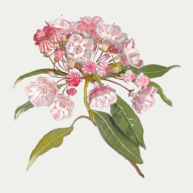 Antique blossom  design element, remixed from artworks by Samuel Colman