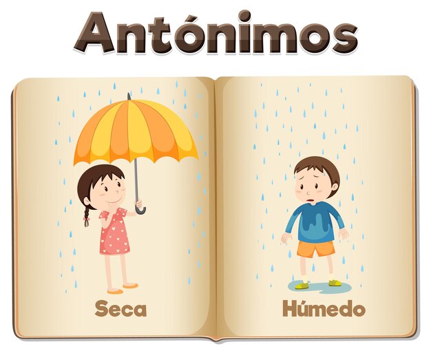 Бесплатное векторное изображение Антоним слово карта на испанском языке seca и humedo означает сухое и влажное