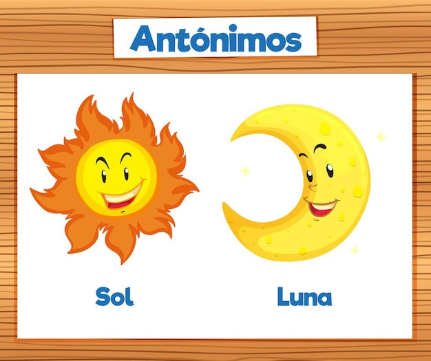 스페인어 의 대칭 단어 카드 sol 과 luna 는 태양 과 달 을 의미 한다