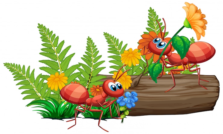 मुफ़्त वेक्टर ants in nature on white background