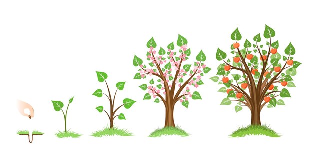 木の芽と植物のアイコン 苗と手植えのピクトグラム プレミアムベクター