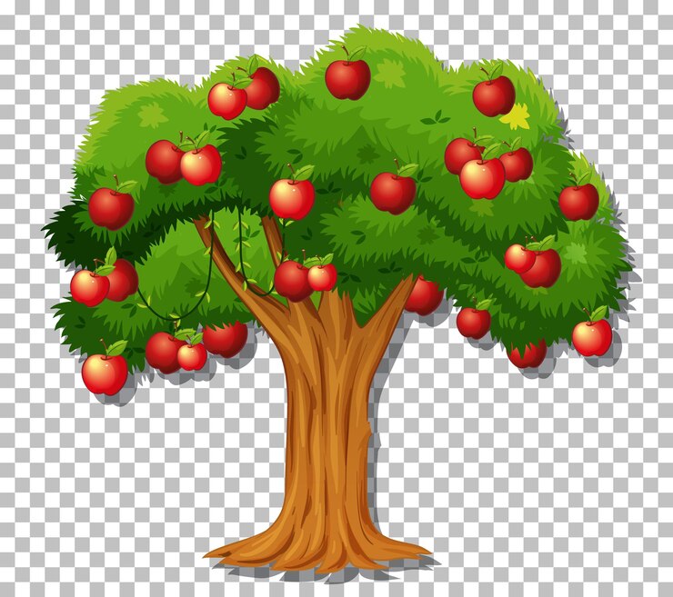 Free Vector apple tree on transparent background