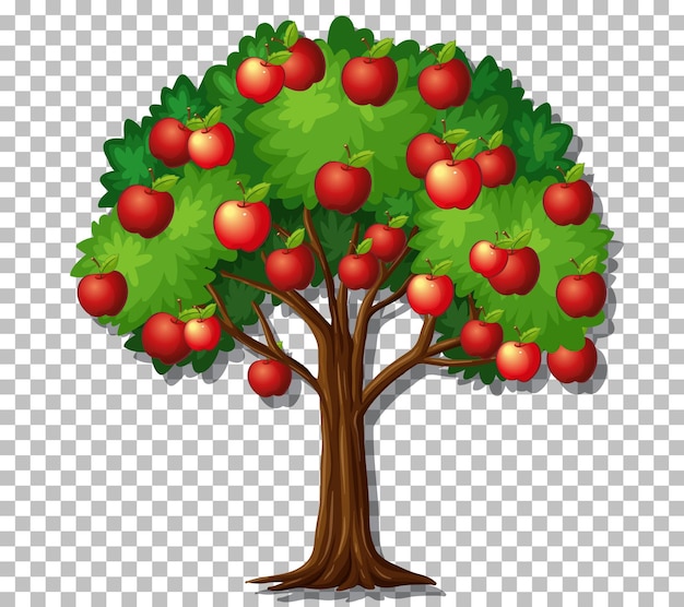 透明な背景の上のリンゴの木