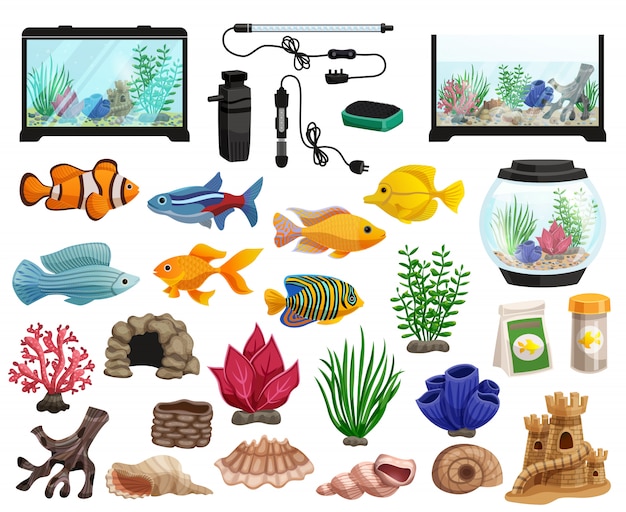 aquaristics and aquarium fishes set 