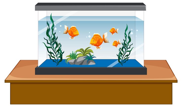 मुफ़्त वेक्टर aquarium tank with gold fishes on white background