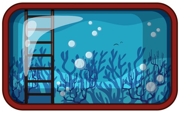 Аквариум под водой с кораллами и лестницами