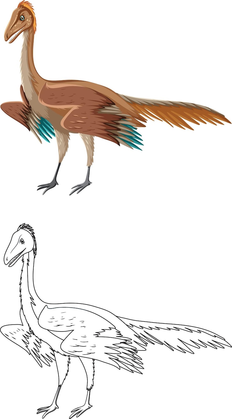 Free Vector archaeopteryx dinosaur with its doodle outline on white backgrou