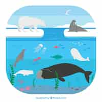 Free vector arctic ecosystem concept