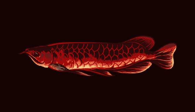 Premium Vector Arowana Fish Illustration