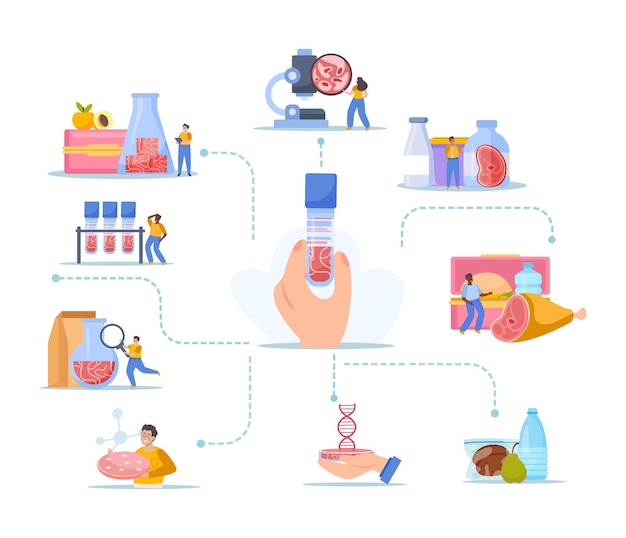 Free vector artificial grown meat flat composition with human hand holding test tube and flowchart of isolated icons vector illustration