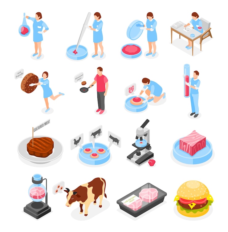 Free Vector artificial grown meat isometric icons set of scientists analyzing test tubes with cultured meat isolated vector illustration