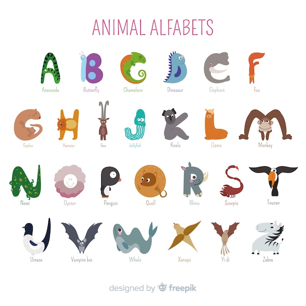 Artistic cartoon animals school alphabet 