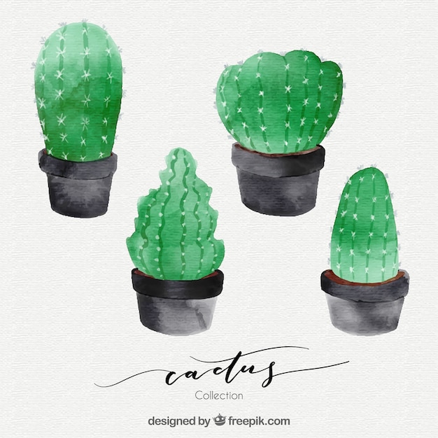 Vettore gratuito pacchetto artistico di cactus acquerello