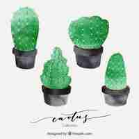 Free vector artistic pack of watercolor cactus