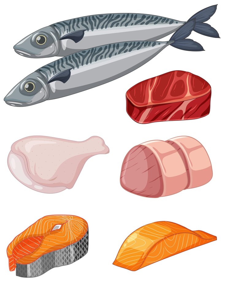 Free Vector assorted meat and seafood vector for menu design